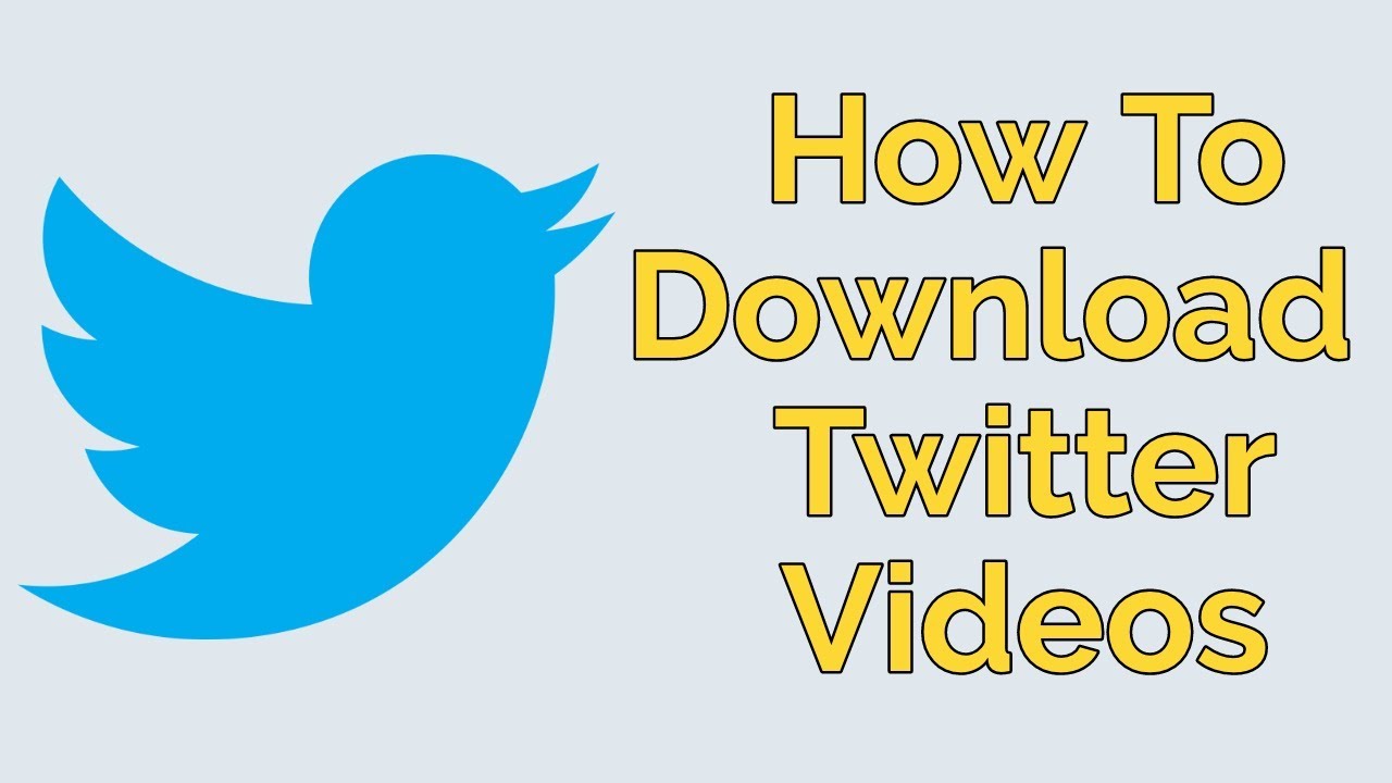 How to download twitter videos on your phone and computer?