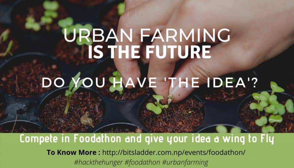 foodathon