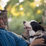 How to make a smartphone run faster by limiting the background process limit? Best dog gadgets