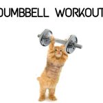 Dumbbell Workout apps