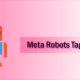 meta robots tags