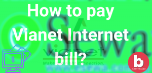 How to pay Vianet Internet bill