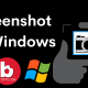 How to take screenshot on Windows ?