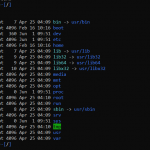 File Structure and Hierarchy in Linux