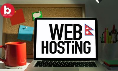 Choose Best Hosting For Wordpress Website in Nepal